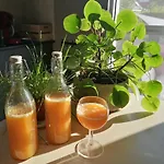 Sea-me 4* 奥斯滕德