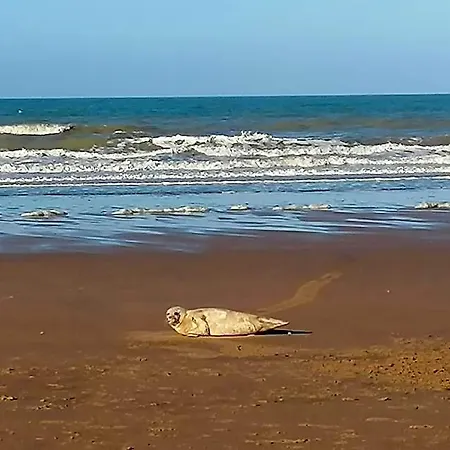 Sea-me