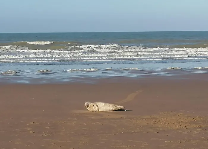 Sea-me Oda ve Kahvaltı