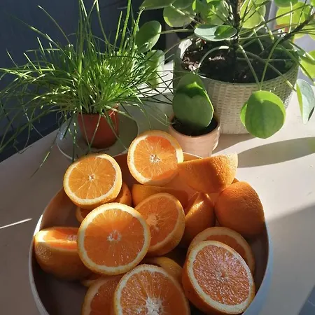 Sea-me Frühstückspension