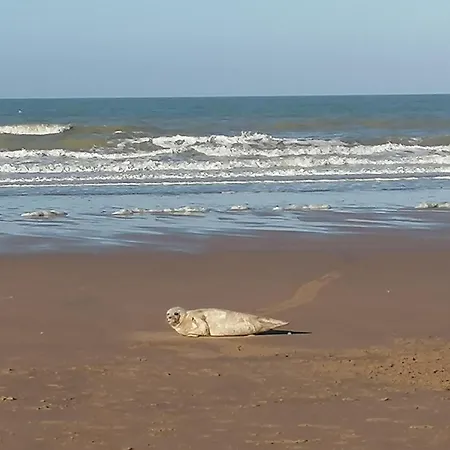 Sea-me Отель типа 