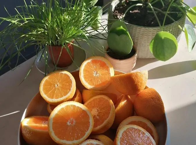 Sea-me Отель типа 